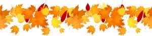 Fall Leaves Banner